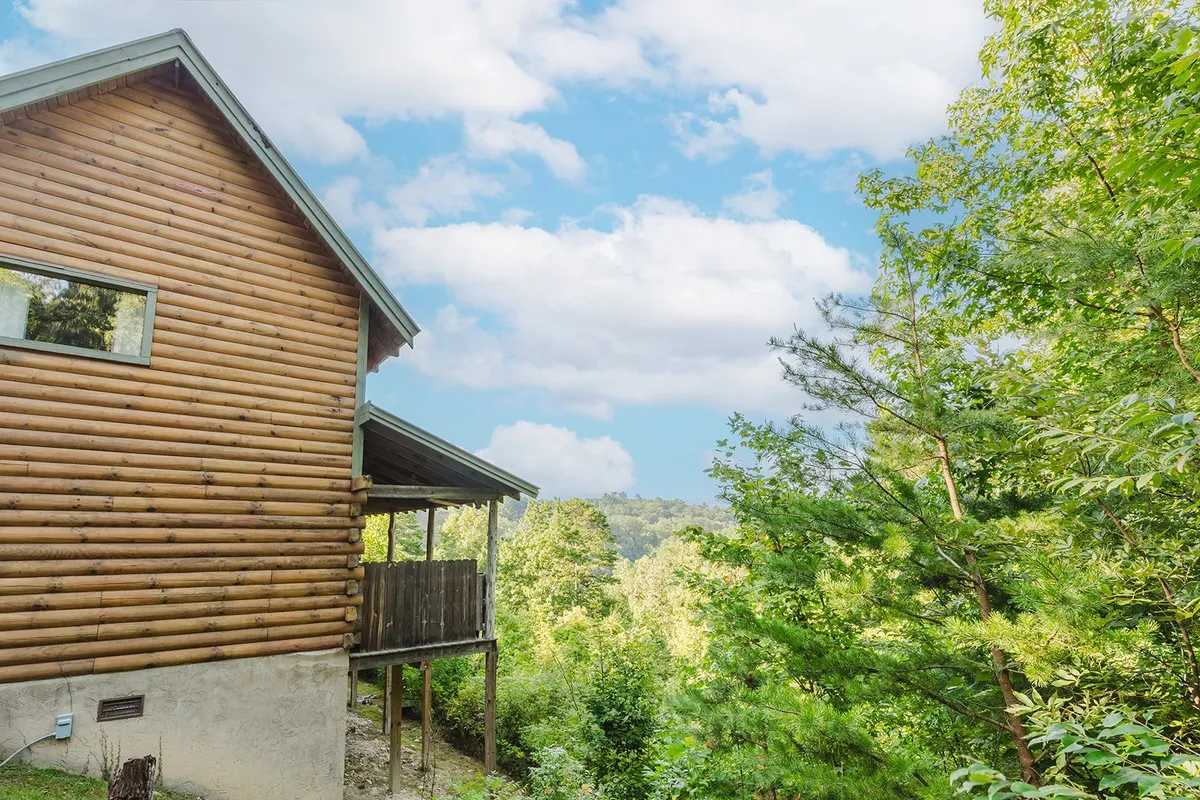 This image captures the exterior of the log cabin, surrounded by lush greenery, distant hills, and a bright blue sky. The setting suggests immediate access to nature, trails, and open space – ideal for outdoor activities with pets.